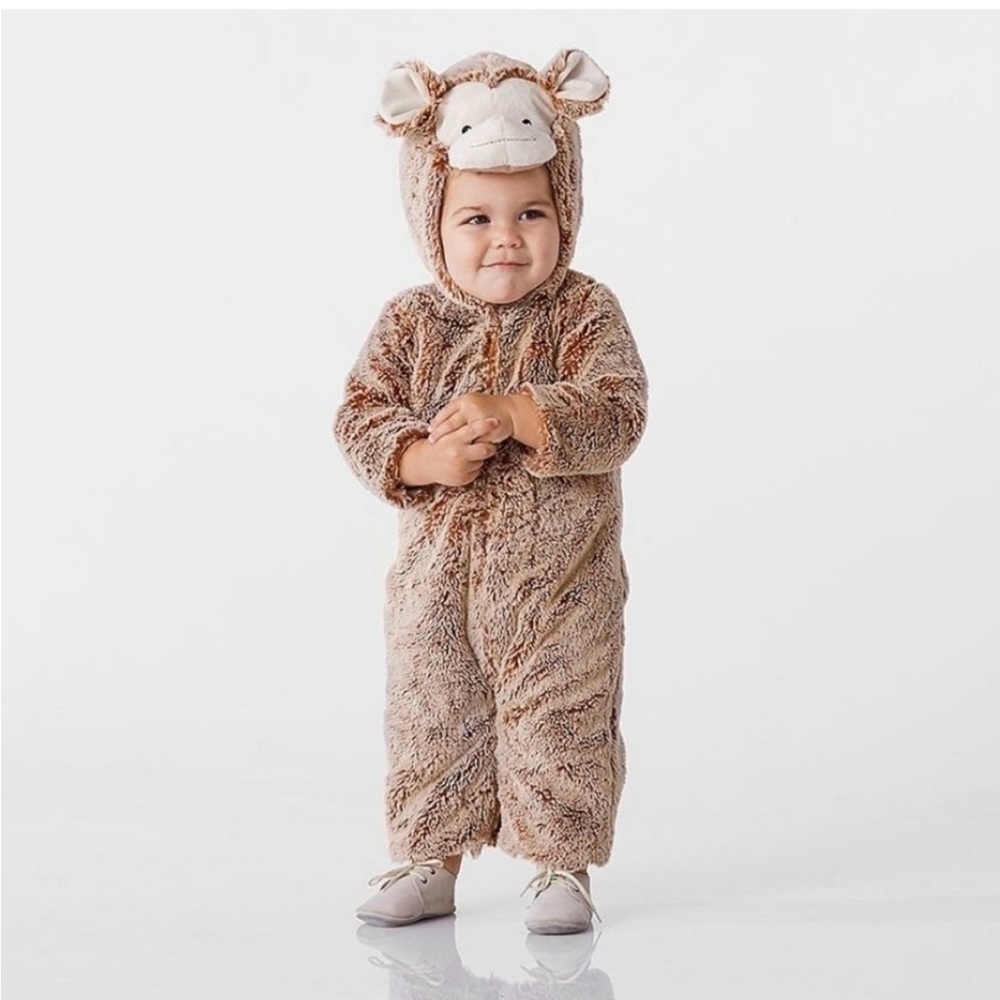 Pottery Barn Kids Baby Monkey Costume
